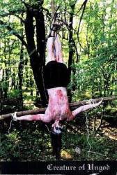 Pervertum : Creature of Ungod Demo